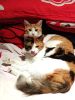 Melody & Bumblebee 1